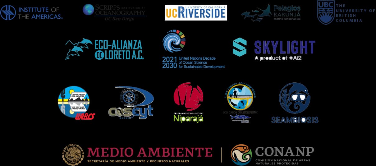 Socios y Colaboradores